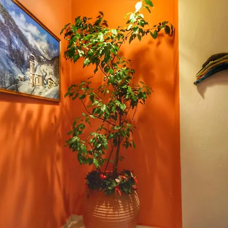 To Balkoni Tis Agorianis 2*