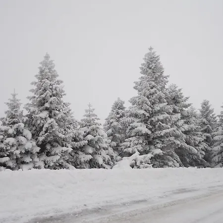 To Balkoni Tis Agorianis Eptálofos