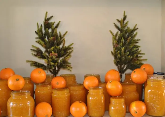 Hotel To Balkoni Tis Agorianis 2*