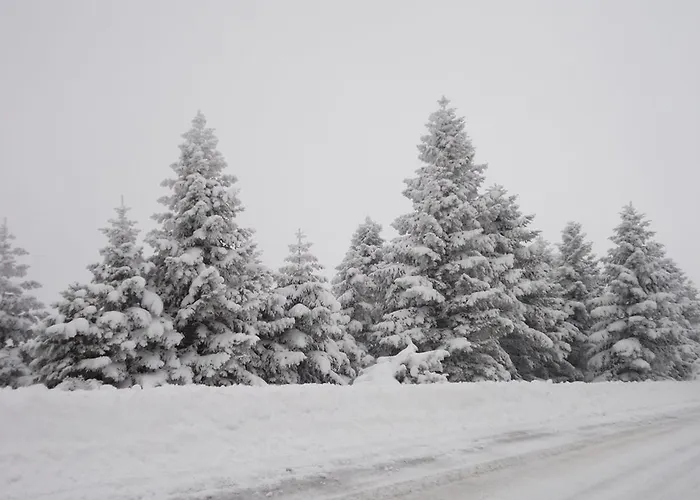 To Balkoni Tis Agorianis Eptálofos